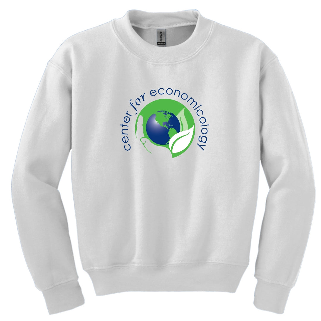 Youth- Economicology Sweatshirt