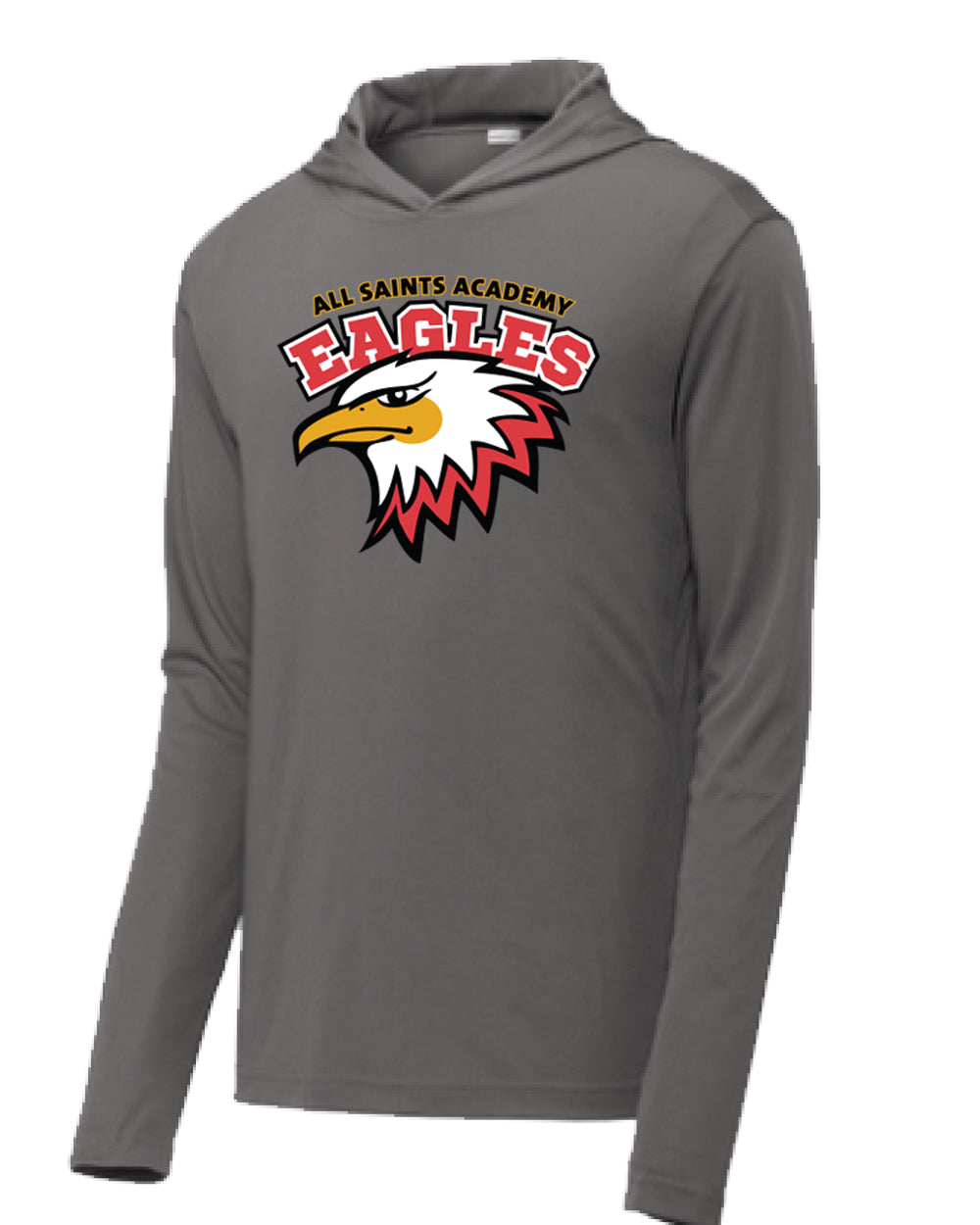 All Saints Academy YOUTH Hoodie
