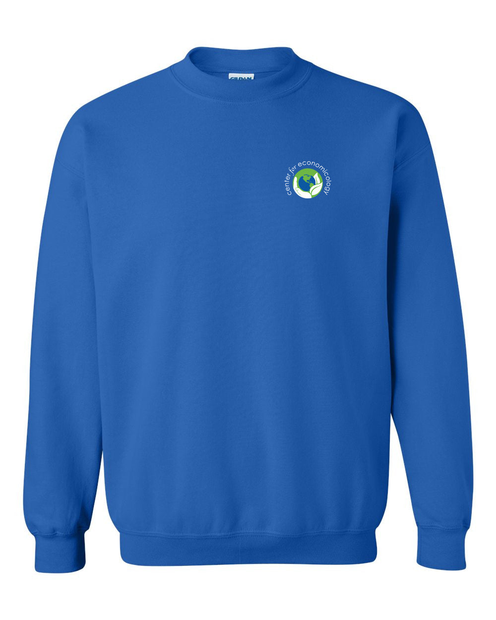 Center for Economicology Pull Over Sweatshirt