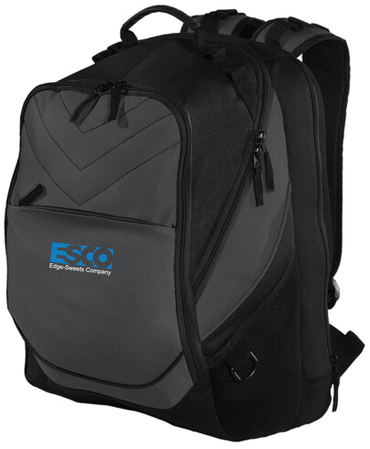 ESCO Computer Backpack
