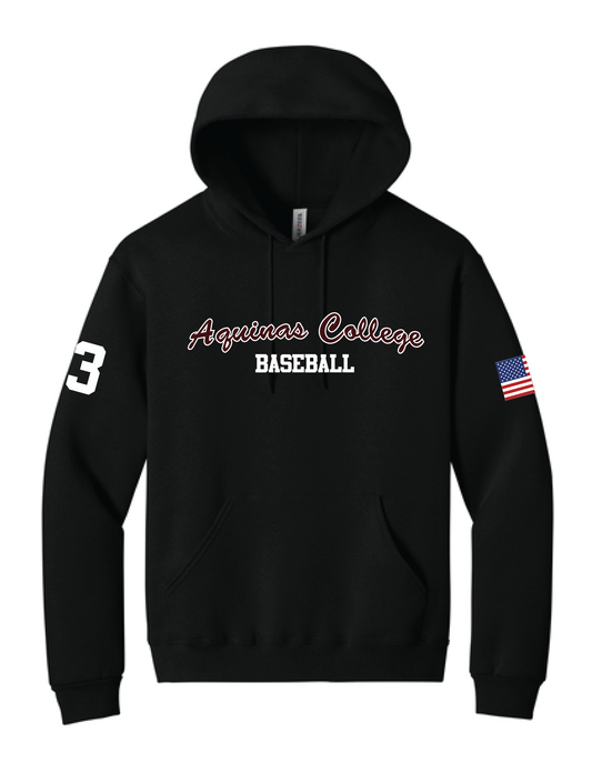 Aquinas Baseball American Hoodie Black