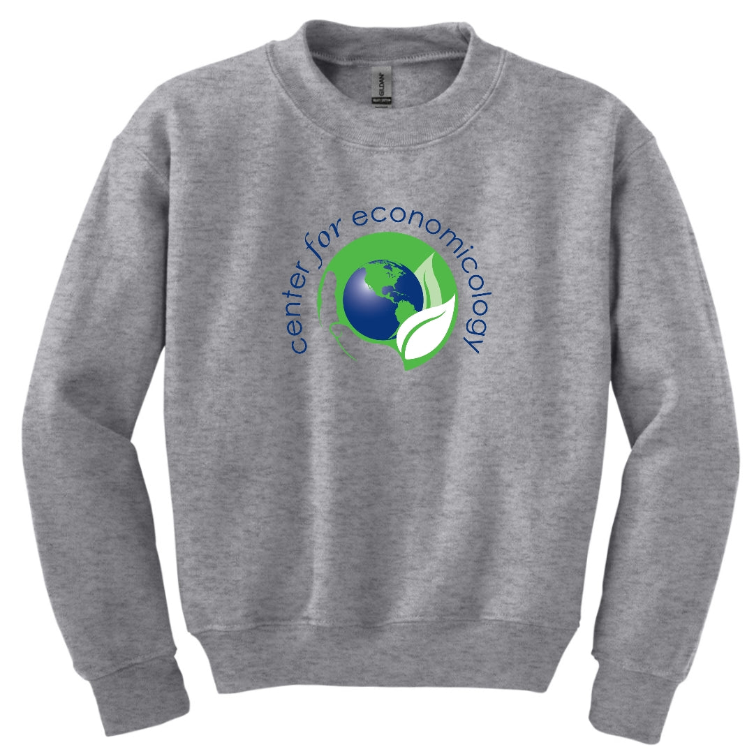 Youth- Economicology Sweatshirt