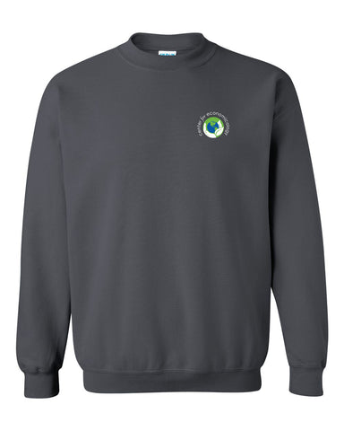 Center for Economicology Pull Over Sweatshirt